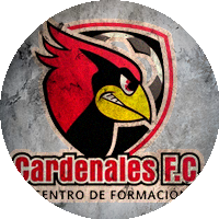 Logo Cardenales Futbol Club